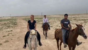 hourse ride | Salalah Oman Tours